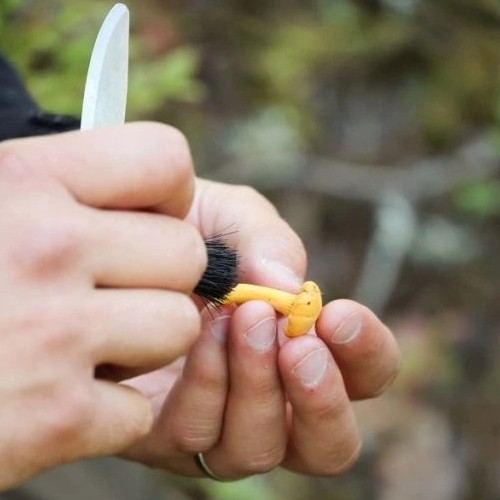 Нож грибника Morakniv Karl-Johan, красный цвет