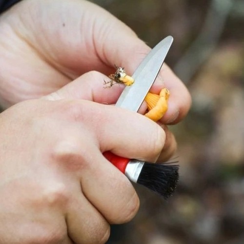 Нож грибника Morakniv Karl-Johan, красный цвет