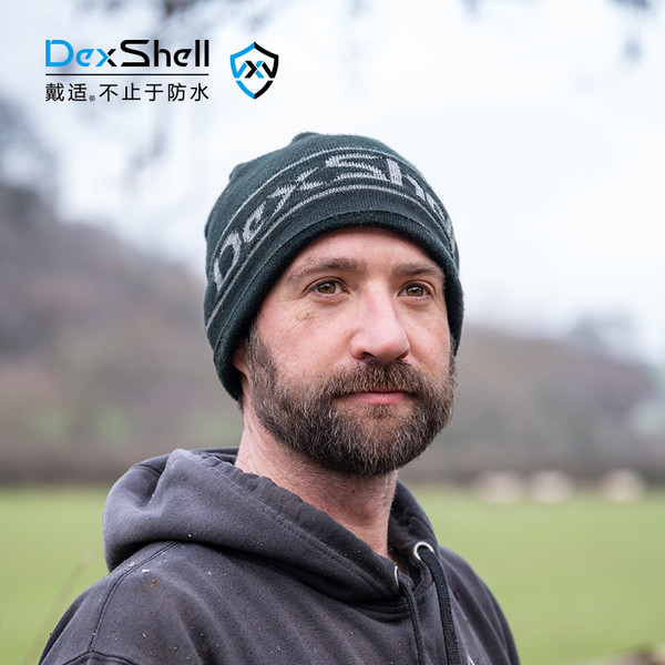 Шапка Dexshell Beanie Reflective Logo